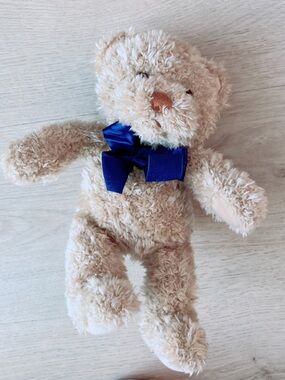 Teddy Bear Braun Gund